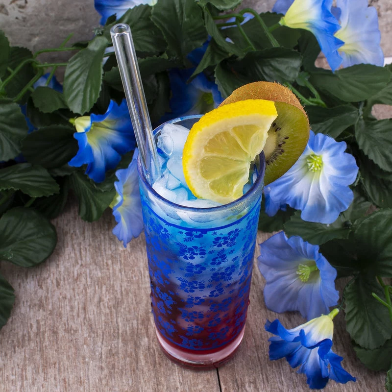 Brand new ✨ Bars BarConic® Blue Hibiscus Pattern Highball Glass - 9.5 Oz 👍 4 Brand new ✨ Bars BarConic® Blue Hibiscus Pattern Highball Glass - 9.5 Oz 👍 - Image 2