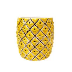 Budget 🔔 Bars BarConic® Natural Pineapple Tiki Cup - 18 Ounce ✔️