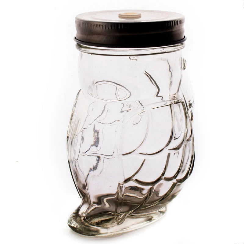 Top 10 😍 Bars Parrot Mason Jar W/lid - 14 Ounce - BarConic® ❤️ 7 Top 10 😍 Bars Parrot Mason Jar W/lid - 14 Ounce - BarConic® ❤️ - Image 5