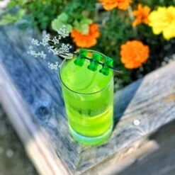 Top 10 💯 Bars BarConic® Monument™ Highball Glass - 11 Oz ⌛ 11 Top 10 💯 Bars BarConic® Monument™ Highball Glass - 11 Oz ⌛ -BARS Sales Store circle picks cocktails 2 800x