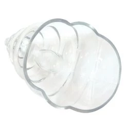 Hot Sale 🌟 Bars BarConic® Tiki Mug - Conch Glass - 22 Oz. 🤩 9 Hot Sale 🌟 Bars BarConic® Tiki Mug - Conch Glass - 22 Oz. 🤩 -BARS Sales Store gw conch2 bpc 800 1 800x